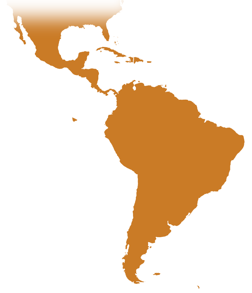 AMERICA